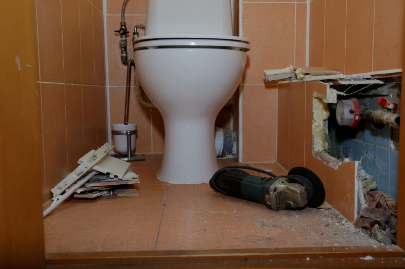 Toilet Snaking detail