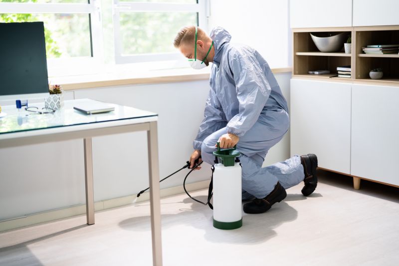 Fly Extermination