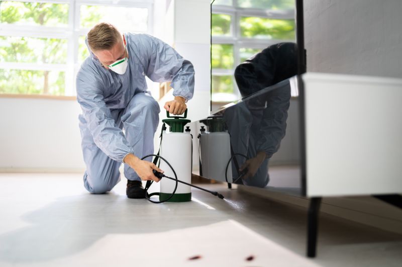 Stinging Insect Extermination