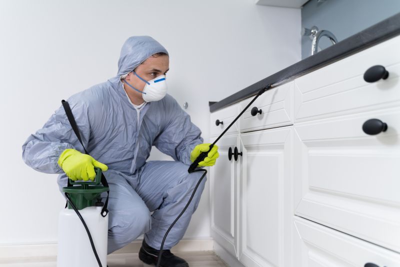 Stinging Insect Extermination