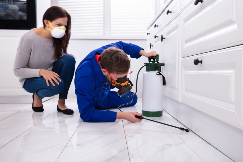 Stinging Insect Extermination