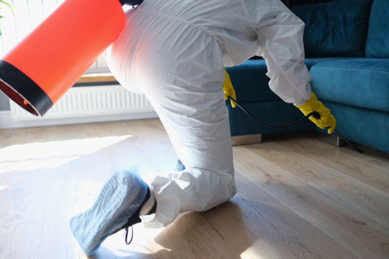 Wasp Extermination Service